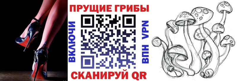 даркнет формула  Облучье  Галлюциногенные грибы ЛСД  KRAKEN сайт 